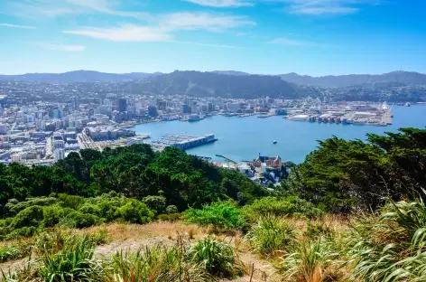 Panorama sur Wellington depuis le Mont Victoria - Nouvelle Zélande