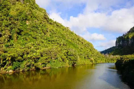 Vers Punaiki - Nouvelle Zélande