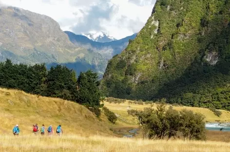 Randonnée menant au Rob Roy Glacier, massif de l'Aspiring - Nouvelle Zélande