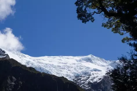Rob Roy Glacier, massif de l'Aspiring - Nouvelle Zélande