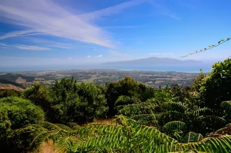 Randonnée sur les hauteurs de Waikanae, au loin Kapiti - Nouvelle Zélande