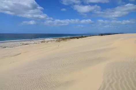 Dunes de Mangawhai, au nord d'Auckland - Nouvelle Zélande