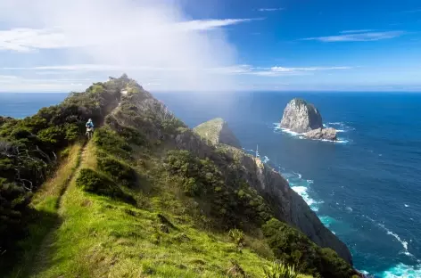 Rando au Cape Brett - Nouvelle Zélande