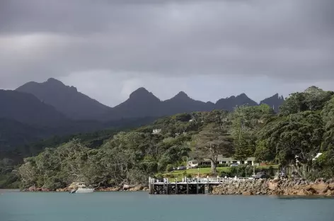 Vers le port de Whangaparapara, Great Barrier Island - Nouvelle Zélande