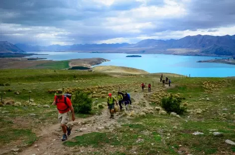 Marche vers le Mont John, sur les hauteurs de Tekapo - Nouvelle Zélande