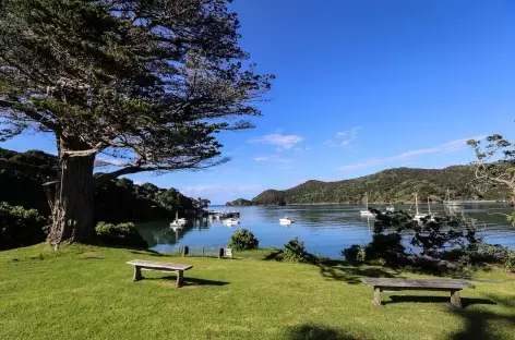 Baie de Whangaparapara, Great Barrier Island - Nouvelle Zélande