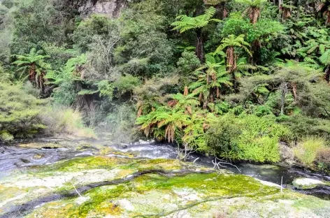 Site géothermique de Waimangu - Nouvelle Zélande - 