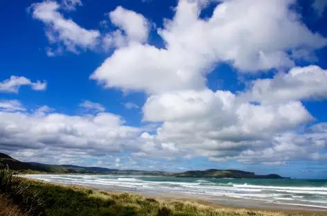 Belle côte sauvage des Catlins - Nouvelle Zélande