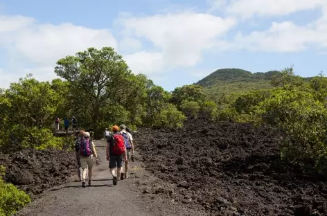 Sentier d'accès au volcan Rangitoto - Nouvelle Zélande