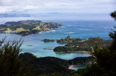 Randonnée sur le Cape Brett - Nouvelle Zélande