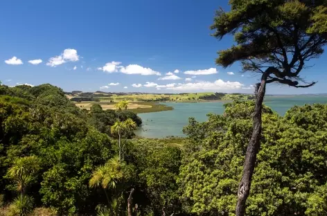 Marche au dessus de Kaipara Harbour  - Nouvelle Zélande