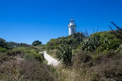 Cape Foulwind - Nouvelle Zélande