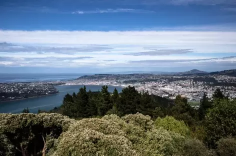 Dunedin depuis Signal Hill - Nouvelle Zélande