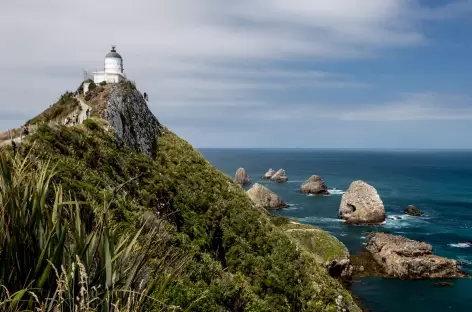 Nugget Point, côte des Catlins - Nouvelle Zélande