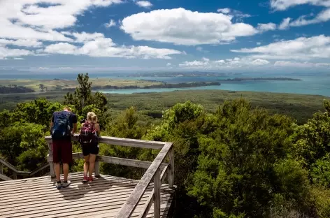 Depuis le sommet de Rangitoto - Nouvelle Zélande