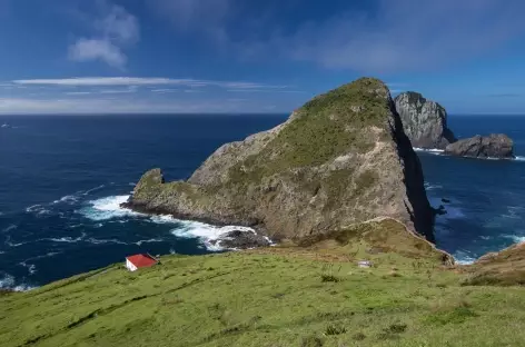 Randonnée sur le Cape Brett - Nouvelle Zélande