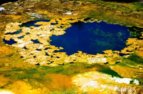 Orakei Koralo - Nouvelle Zélande