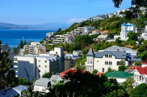Wellington, colline du Mt Vistoria - Nouvelle Zélande