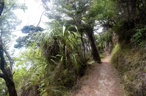 Abel Tasman Coastal Track - Nouvelle Zélande