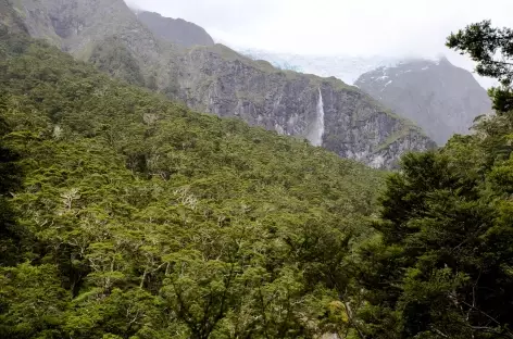 Montée à Rob Roy Glacier - Nouvelle Zélande