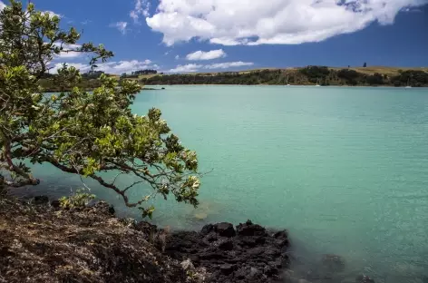 Le long du Coastal Trail, Rangitoto - Nouvelle Zélande