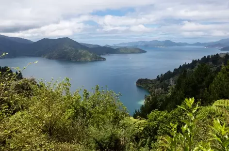 Marlborough Sound - Nouvelle Zélande