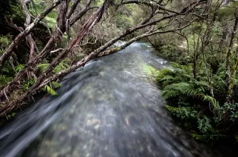 Pupu Springs - Nouvelle Zélande