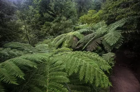 Abel Tasman Coastal Track - Nouvelle Zélande