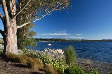 Sur les rives du lac de Te Anau - Nouvelle Zélande - 