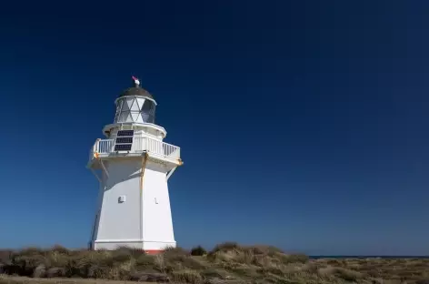 Waipapa Point, côte des Catlins - Nouvelle Zélande