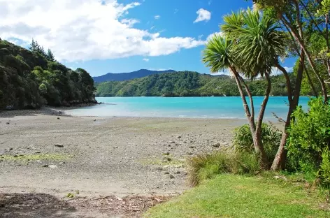 Randonnée sur le Queen Charlotte Track - Nouvelle Zélande - 