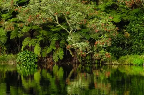 Beauté du lac Rotoiti, Rotorua - Nouvelle-Zélande - 