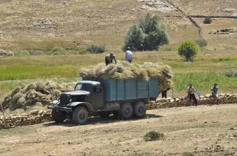 Scène rurale dans la région de Sob - Ouzbékistan