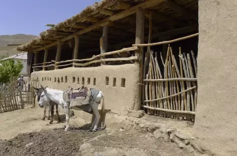 Village d'Uhum > Samarcande