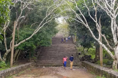Escaliers monumentaux - Mihintale