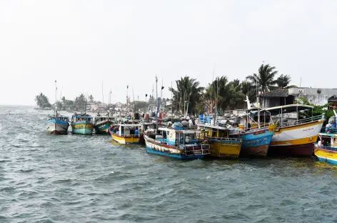 Negombo - Sri Lanka - 