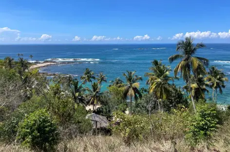 Côte sud vers Tangalle - Sri Lanka - 