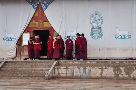 Moines au monastère de Longwu, Amdo - Chine