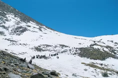 Passage du Drolma la, Tibet