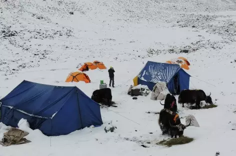 Surprise au réveil - Tibet