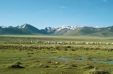 Trek > Jeshul La (5180 m) > Kangru Gompa > Village de Khangmar (4480 m), Nagartse