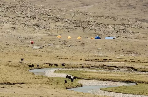 Sur le trek - Tibet