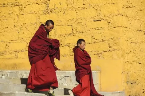 Moines - Tibet