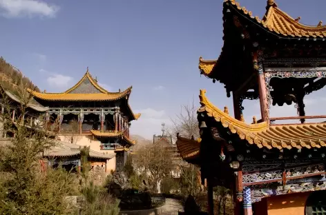 Temple à Xining - Tibet