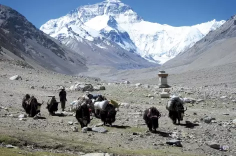 Everest Tibet