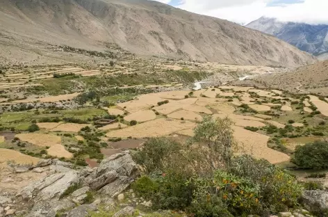 Départ du Trek de Yulok - Tibet