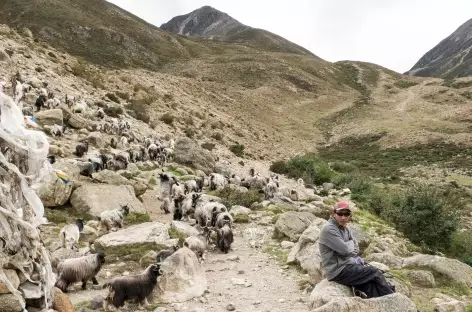 Animation sur le sentier - Tibet