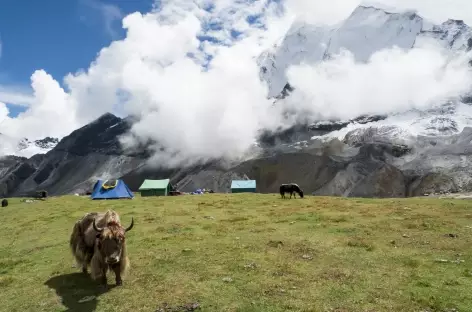 Lever de soleil sur le camp - Tibet