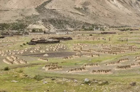 Les cultures - Tibet