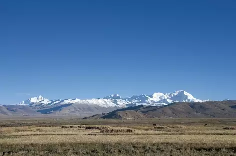 Le Cho Oyu depuis Tingri